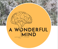 A Wonderful Mind